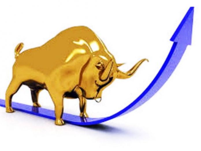 cryptocurrency bull run meaning